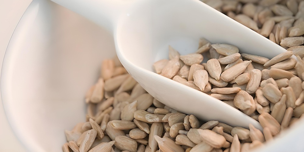 Sunflower Kernels 1