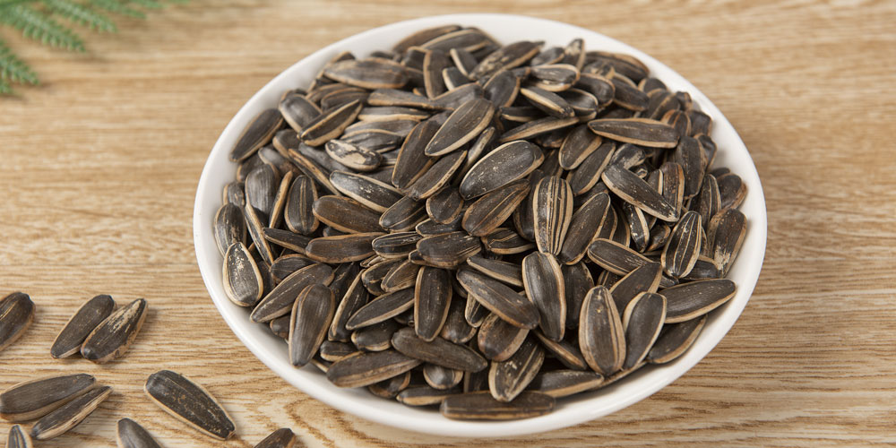 Sunflower Seeds 1 1