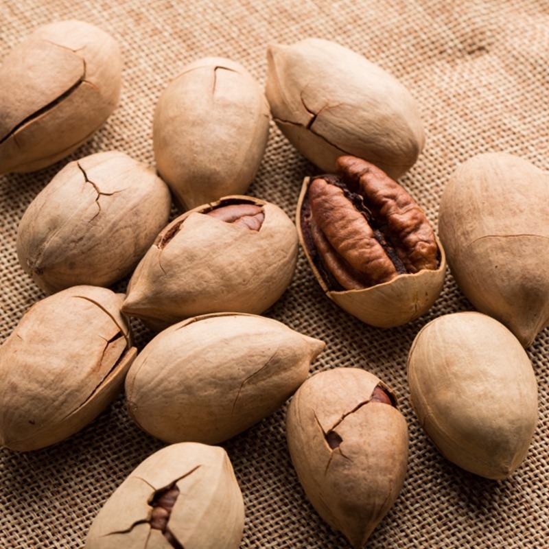 Pecans-3